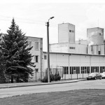 Šernų jau sumedžiota daugiau nei prieš metus