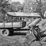 Jaučiasi reikalingos, todėl yra laimingos