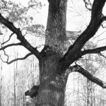 Lankytojai kvečiami į atnaujintą Ustukių biblioteką