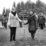 Tvarkingi grioviai kraštovaizdžio nedarkys