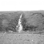 Prieš penkerius metus Norgėluose pasėti bendruomeniškumo daigai jau davė vaisių