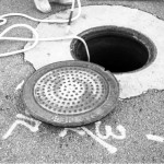 Vileišiečių organizaciją papildė naujas būrys