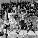 Sodas, gėlynas, daržas: darbai balandį