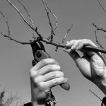 Unijai metai buvo sėkmingi