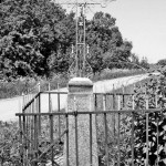 Noriuose tapo šviesiau