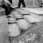 Kad veršelį paskerdė vilkai, neabejoja niekas