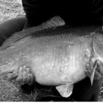 Rytoj jaukiame Pajiešmenių parke liesis spalvingos melodijos