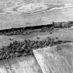 Mūšoje sugavo gyvenimo laimikį