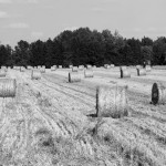 Dėl karščio teko gerokai paankstinti Pasvalio maratono startą