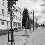 Kviečia pradėti nuo savo kiemo