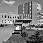 „Baltijos kelio“ bėgikai – nuo Vilniaus iki Talino