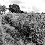 Nauja rubrika – „Klausk teisininko“