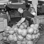 Įvertinti tautodailininkų darbai