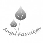 Apie savanorius ir savanorystę kitaip