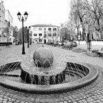 Pasvalietiškam alui gresia išnykimas: SOS