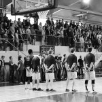 Apie parodą ant tvoros ir kitas fantazijas