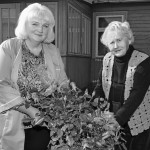 Neegzistuojančio dienoraščio įrašai