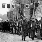 Miestą puošiantys aukšti ąžuolai patinka ne visiems