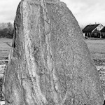 Klubas dovanojo įsimylėjėliams „Meilės medį“