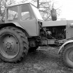 Gyvos istorijos dešimtmetis