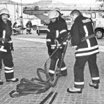 Viešinimas – tik dėl „paukščiuko“?