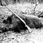 Gyvos istorijos dešimtmetis