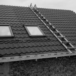 ,,Cunami“ karatistų pergalės