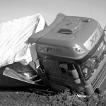 Sugebėję prisijaukinti žodį