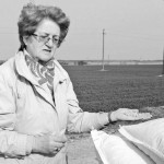 Tarptautinio turnyro taurė liko Pasvalyje