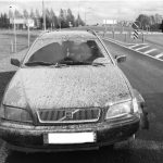 Probacija – suteikta galimybė keisti gyvenimą