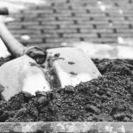 Medžio drožėjas atskleidė savo kūrybos įvairovę