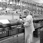 Draugystė tęsiasi: norvegų vaikai viešėjo Ustukiuose