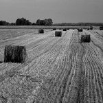 Norgėluose – kitokios Joninės!