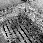 Pasvalio bibliotekoje – pašnekesys su kardinolu Audriu Juozu Bačkiu