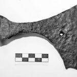 Anglų kalbą moka geriau nei lietuvių