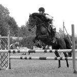 Trijų dienų stovyklos įspūdžių – nors vežimu vežk