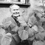 Taip būna tik Joniškėlyje