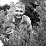 Prie Henriko Algio Čigriejaus kapo ištikimai budės žvirbliai