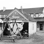 Laimingą gyvenimą nutraukė užgriuvęs šieno rulonas