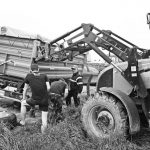 Kryžių slėnyje prisimintas ne tik Baltijos kelias