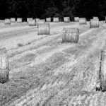 Jei pažadėta – nevalia vilkinti