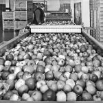 Po bendruomeninės veiklos pakilimo atslinko atoslūgis