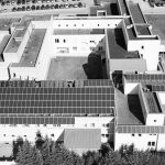 Vamzdžio kirtis buvo mirtinas