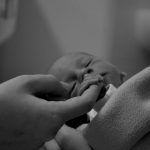 Bokso turnyruose – gausus čempionų derlius