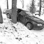 Ukrainos patriotai dėkojo broliams lietuviams