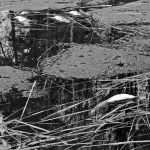 Šventinę nuotaiką sugadino chuliganai