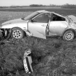 Medžio motyvas – iš kūrėjų vaikystės