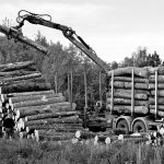 Laiku grąžinus lovą, grąžins dalį pinigų