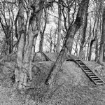 Pasvalyje to dar nebuvo!