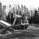 Daug kam per brangu medžioklės trofėjus teikti parodoms